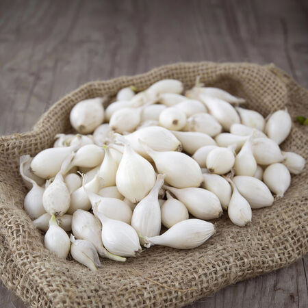 Snowball White, Onion Sets - 1 Pound image number null